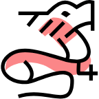 long.png