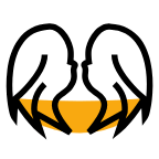 shuangzi.png